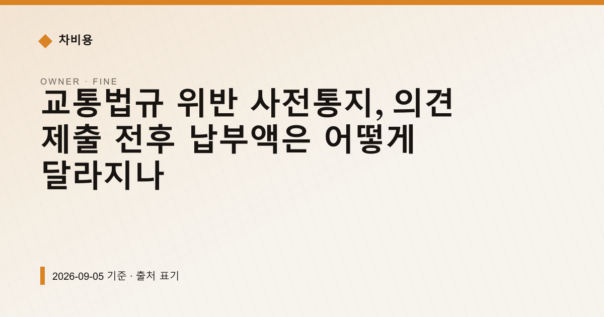 과태료 사전통지, 의견 제출 전 내면 20% 깎이는 이유 — 과태료·범칙금 pricing comparison