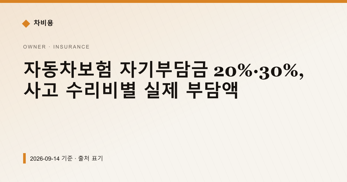 자기부담금 20%·30%, 수리비별 실제 부담액 — 자동차보험료 pricing comparison
